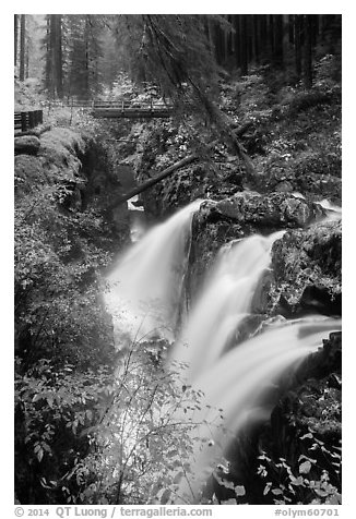 Sol Duc Falls and bridge in autumn. Olympic National Park (black and white)
