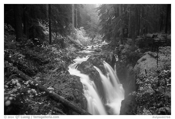 Sol Duc Falls in autumn. Olympic National Park (black and white)
