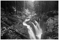 Sol Duc Falls in autumn. Olympic National Park ( black and white)