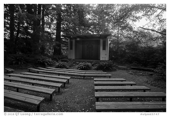 Amphitheater, Mora Campground. Olympic National Park (black and white)