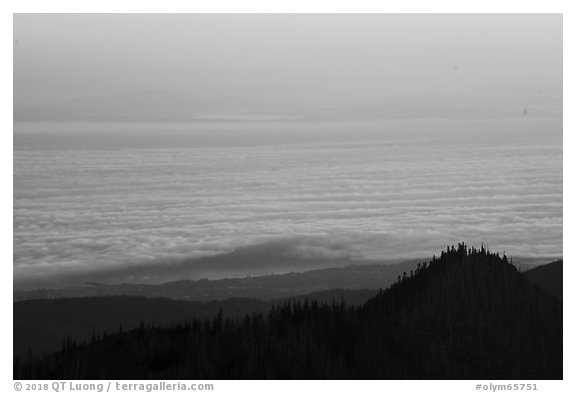 Sea of clouds above Strait of Juan de Fuca at sunrise. Olympic National Park (black and white)