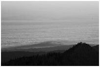 Sea of clouds above Strait of Juan de Fuca at sunrise. Olympic National Park ( black and white)