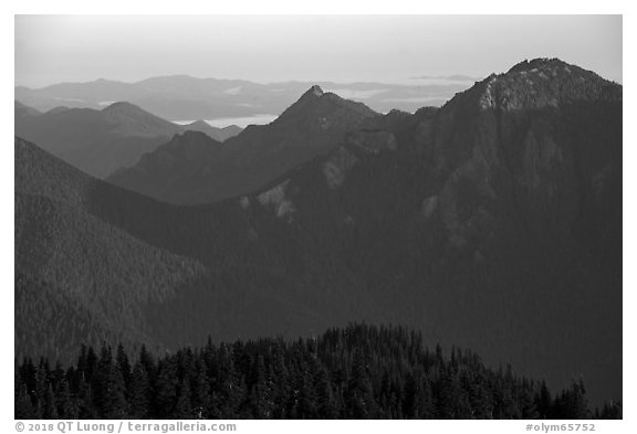 Mt Fitzhenry at sunrise. Olympic National Park (black and white)