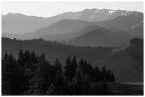 Olympic mountain ridges from Hurricane Hill, early morning. Olympic National Park ( black and white)