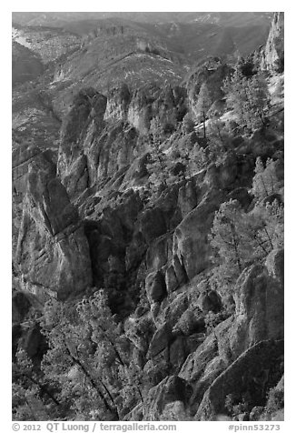 Rocky spires at sunset. Pinnacles National Park (black and white)