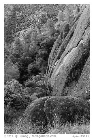 Cliff and Mediterranean chaparral. Pinnacles National Park (black and white)