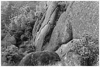 Rhyolite Cliff. Pinnacles National Park ( black and white)