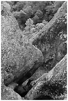 Rock finns below Condor Gulch overlook. Pinnacles National Park ( black and white)