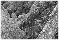 Lichen-covered volcanic rock finns. Pinnacles National Park ( black and white)