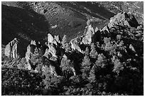 Pine trees and pinnacles. Pinnacles National Park ( black and white)