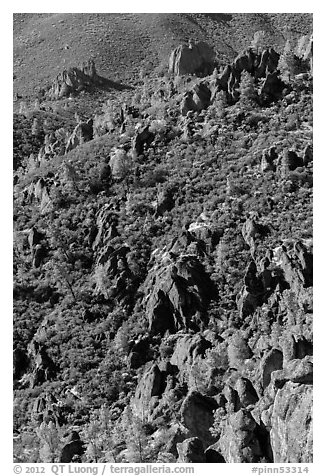 Slope with mediterranean chaparral and rock towers. Pinnacles National Park (black and white)