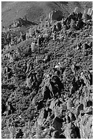 Slope with mediterranean chaparral and rock towers. Pinnacles National Park ( black and white)