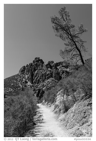High Peaks trail. Pinnacles National Park (black and white)