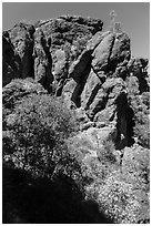 Cliffs of reddish rock. Pinnacles National Park ( black and white)