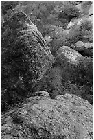 Boulders in gully, Bear Gulch. Pinnacles National Park, California, USA. (black and white)