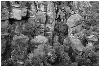 Bear Gulch rocks. Pinnacles National Park ( black and white)