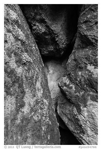 Moss and Rocks, Balconies Cave. Pinnacles National Park (black and white)