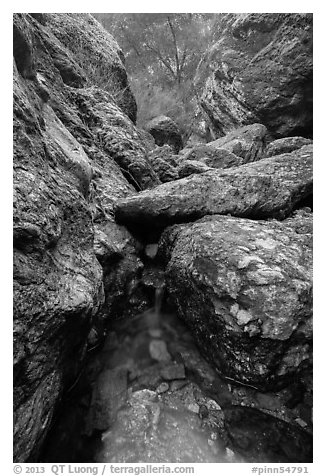 Chalone Creek flowing amongst boulders. Pinnacles National Park, California, USA.