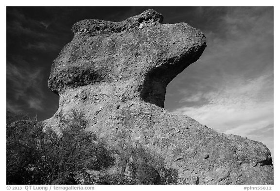 Anvil rock formation. Pinnacles National Park (black and white)