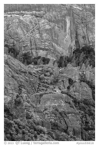 Cliffs and trees. Pinnacles National Park (black and white)