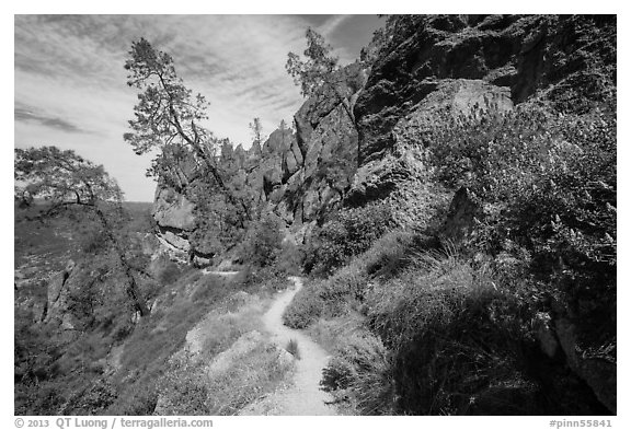 Juniper Canyon trail in spring. Pinnacles National Park, California, USA.