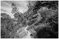 Juniper Canyon trail in spring. Pinnacles National Park, California, USA. (black and white)