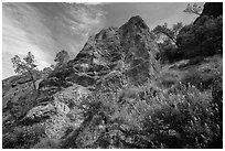 Lupine and rock towers in Juniper Canyon. Pinnacles National Park ( black and white)