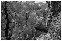 Andesite rock formations. Pinnacles National Park ( black and white)
