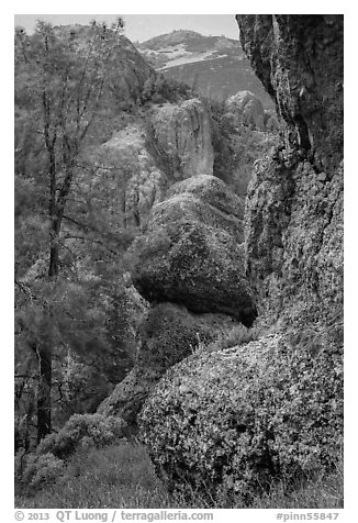 Andesite outcrops. Pinnacles National Park (black and white)