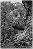 Andesite outcrops. Pinnacles National Park ( black and white)