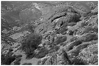 Carpets of spring wildflowers amongst rocks. Pinnacles National Park, California, USA. (black and white)