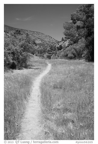 South Wilderness trail. Pinnacles National Park (black and white)