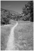 South Wilderness trail. Pinnacles National Park ( black and white)