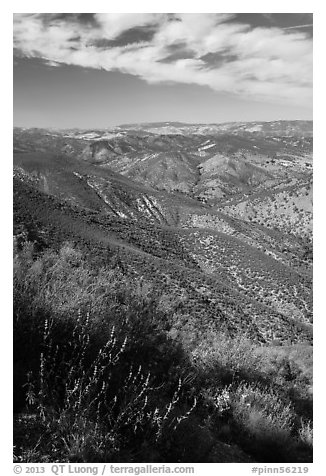 Chaparal-covered hills. Pinnacles National Park (black and white)