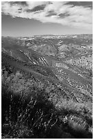 Chaparal-covered hills. Pinnacles National Park, California, USA. (black and white)