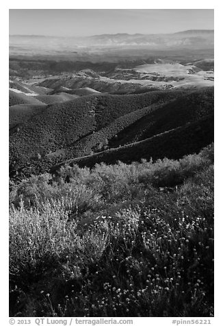 View from South Chalone Peak with wildflowers. Pinnacles National Park (black and white)