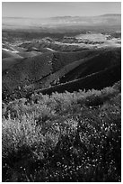 View from South Chalone Peak with wildflowers. Pinnacles National Park ( black and white)