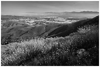 Wildflowers and Salinas Valley. Pinnacles National Park ( black and white)