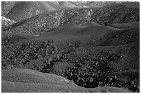 Forested hills seen from above. Pinnacles National Park ( black and white)