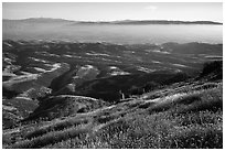 Grasses, hills, and Salinas Valley. Pinnacles National Park ( black and white)