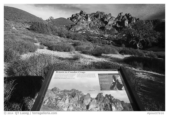 Condor Craggs interpretive sign. Pinnacles National Park (black and white)