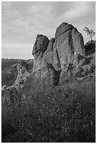 Shrubs and rock towers, autumn sunset. Pinnacles National Park ( black and white)