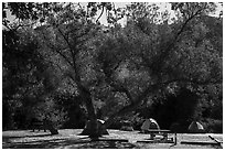 Campground. Pinnacles National Park ( black and white)