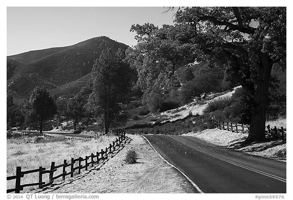 Bear Valley road in autumn. Pinnacles National Park (black and white)