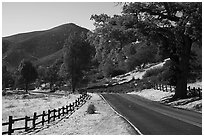 Bear Valley road in autumn. Pinnacles National Park ( black and white)