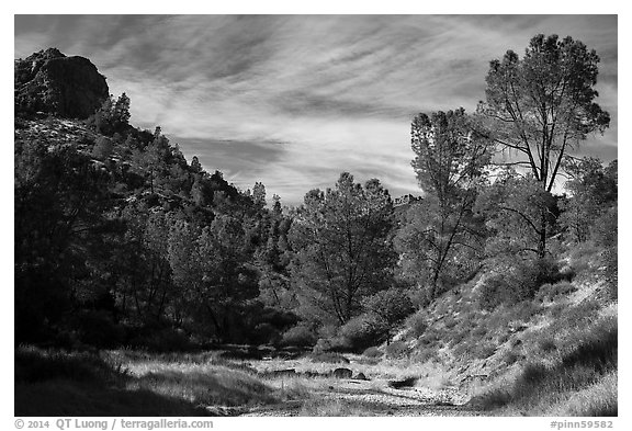 Dry Chalone Creek bed in the fall. Pinnacles National Park (black and white)