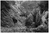 Balconies Cave trail. Pinnacles National Park ( black and white)