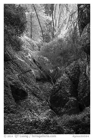 Creek and rocks near Balconies Cave. Pinnacles National Park (black and white)