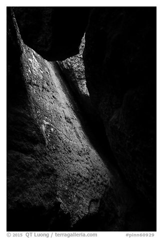 Mossy slab, Bear Gulch Lower Cave. Pinnacles National Park (black and white)