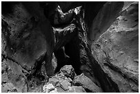 Hiker looking from staircase down into Lower Bear Gulch Cave. Pinnacles National Park ( black and white)